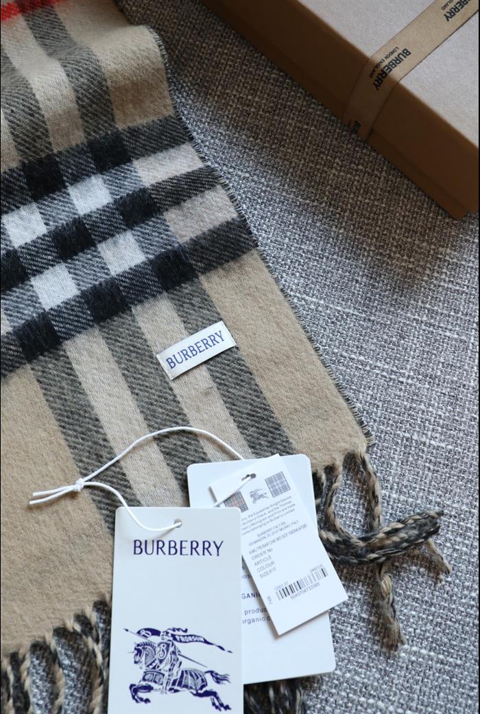 2026116111758800 210